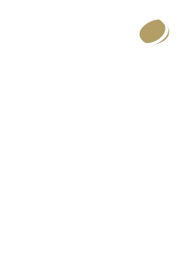 Chair Icon